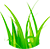 Злаки
